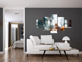Obraz - Wiewiórka (125x70 cm)