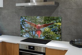 Panel szklany do Kuchni Majestatyczna Papuga Ara