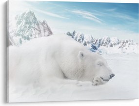 Obraz - Niedźwiedź polarny (70x50 cm)