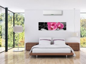 Obraz - Różowe orchidee (170x50 cm)