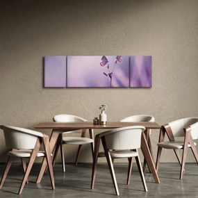 Obraz - Fioletowe motyle (170x50 cm)