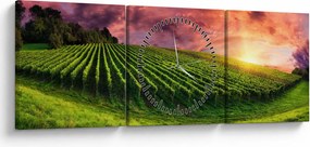 Obraz winnicy z kolorowym niebem (z zegarem) (90x30 cm)