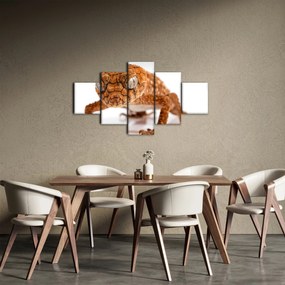 Obraz jaszczurki (125x70 cm)