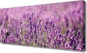 Obraz drukowany na płótnie Romantyczna Natura w Kwiatach