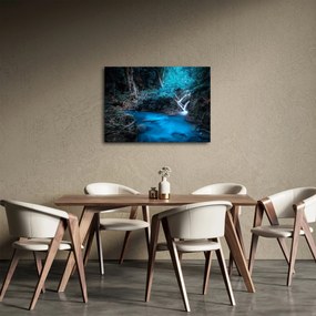 Obraz - Magiczna noc w tropikalnym lesie (70x50 cm)