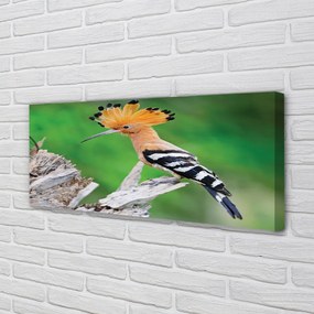 Duży obraz na płótnie Papuga na Drzewie