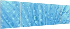 Obraz - Ujęcie makro kwiatu (170x50 cm)