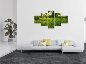 Obraz natury - łąka (125x70 cm)