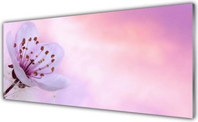 Panel Kuchenny Rozkwitający Kwiat Ogrodowy