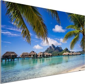 Panel do kuchni Palmy na Bora Bora