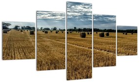 Obraz zebranego pola zboża (125x70 cm)