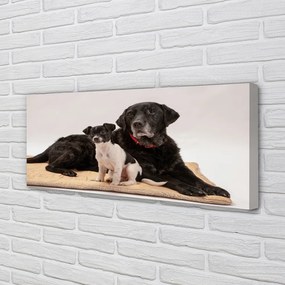 Duży obraz na płótnie Odpoczywające Psy