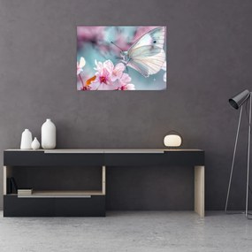 Obraz na szkle - Motyl na drzewie wiśni (70x50 cm)