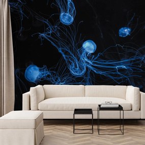 Fototapeta - Meduza (196x136 cm)