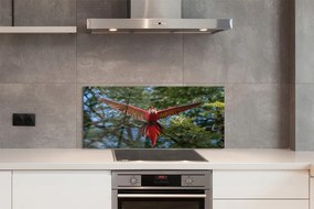 Panel szklany do Kuchni Majestatyczna Papuga Ara