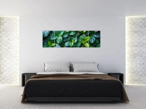 Obraz - Rośliny zielone (170x50 cm)