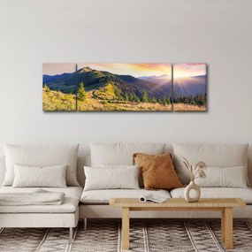 Obraz - Krajobraz leśny (170x50 cm)