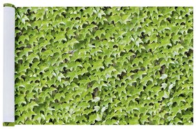 Zielona plastikowa osłona balkonowa 500x85 cm Wilder Wein – Maximex