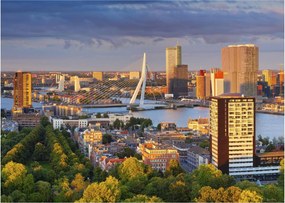 Obraz - Panorama Rotterdamu, Holandia (70x50 cm)