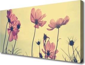 Obraz canvas Delikatność Letnich Kwiatów