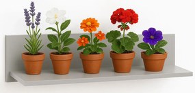 Szara ścienna półka na kwiaty G3-T02