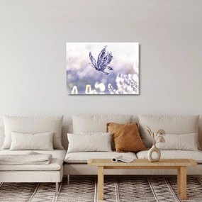 Obraz na szkle - Motyl i lawenda (70x50 cm)