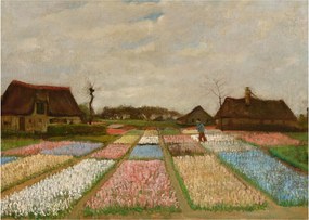Obraz - Vincent van Gogh, Flower Beds in Holland, reprodukcje (70x50 cm)
