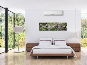 Obraz z zebrami (170x50 cm)