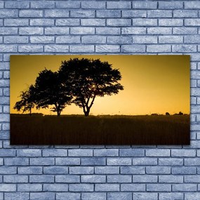 Zdjęcie na płótnie Naturalna Gęstwina Parkowa