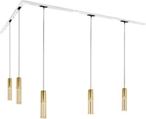 Nowoczesny system oświetlenia szynowego z 5 złotymi lampami wiszącymi jednofazowymi - Iconic Lloyd