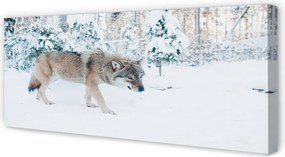 Obraz drukowany na płótnie Zimowa Sceneria z Wilkiem