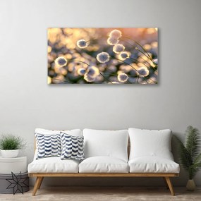 Obraz canvas Urokliwa Flora Ogrodowa