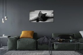 Obraz na płótnie Przytulny Kot pod Kołdrą