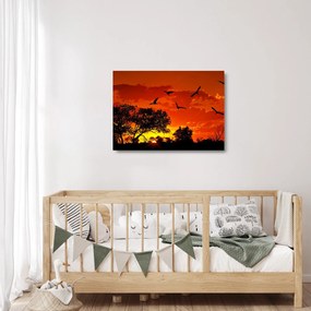 Obraz na szkle ptaków o zachodzie słońca (70x50 cm)