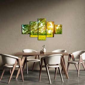 Obraz - Słoneczny Las (125x70 cm)