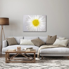 Obraz - Margarita (70x50 cm)
