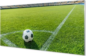 Szklany Panel Stadionowa Arena Futbolowa