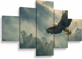 Obraz - Lecący orzeł (125x70 cm)