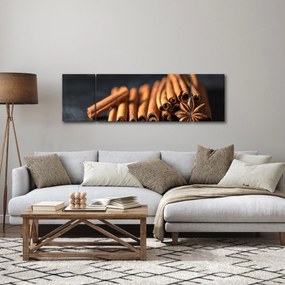Obraz cynamonu (170x50 cm)