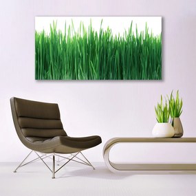 Obraz Canvas Trawa Przyroda Roślina
