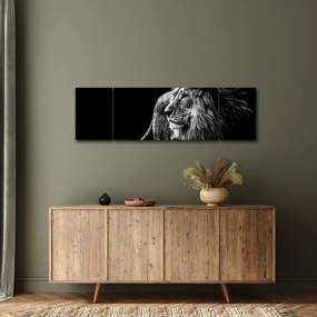 Obraz - Lew, czarno-biały (170x50 cm)