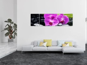 Obraz - Storczyki (170x50 cm)