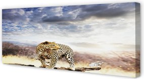 Zdjęcie na płótnie Pantera na Tle Chmur