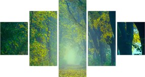 Obraz drogi wysadzanej drzewami (125x70 cm)