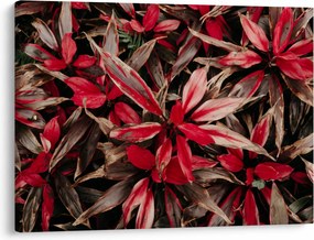 Obraz czerwonych płatków (70x50 cm)