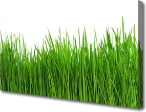 Fotoobraz na płótnie Naturalny Dywan Zieleni