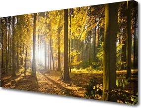 Fotoobraz na płótnie Głęboka Zieleń Leśnych Liści