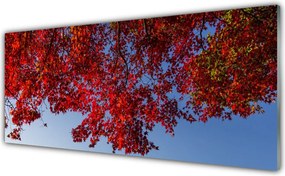 Panel Szklany do Kuchni Rozłożysta Korona Drzewa