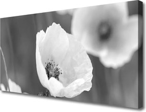 Obraz canvas Klasyczny Motyw Maków