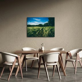 Obraz łąki i lasu (70x50 cm)